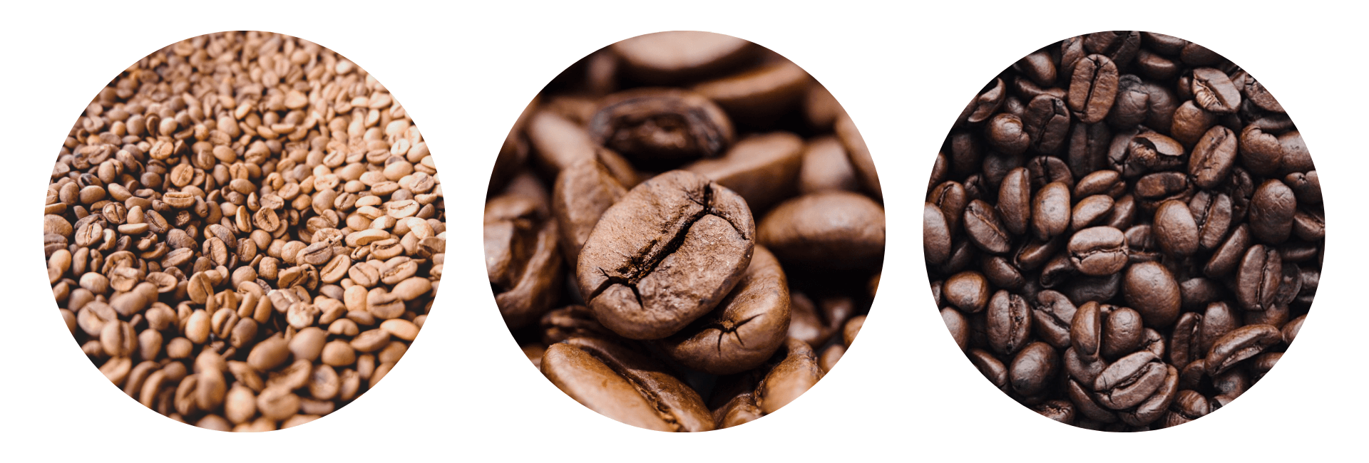 light to dark roast coffee differences