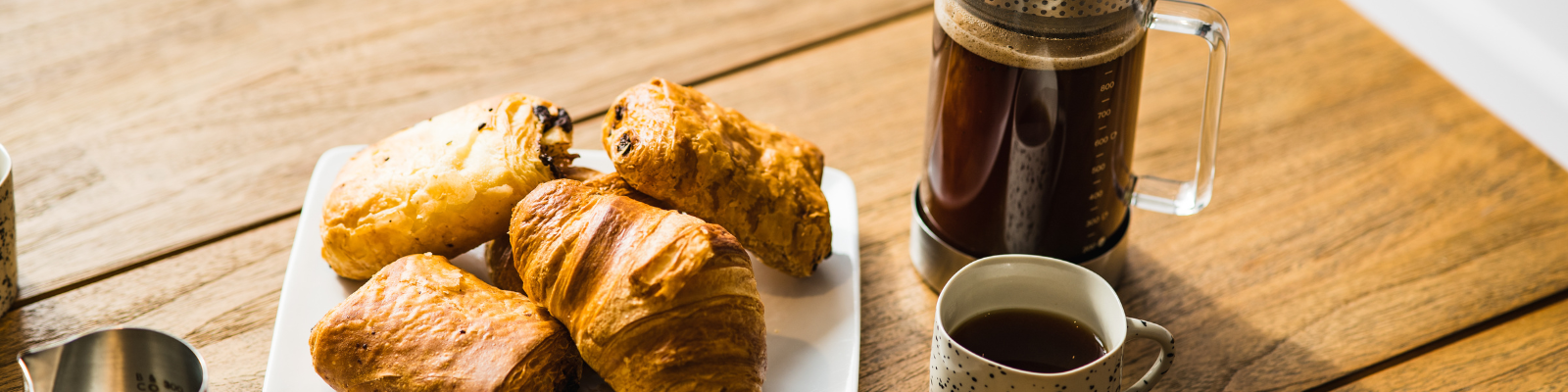 stainless steel coffee press