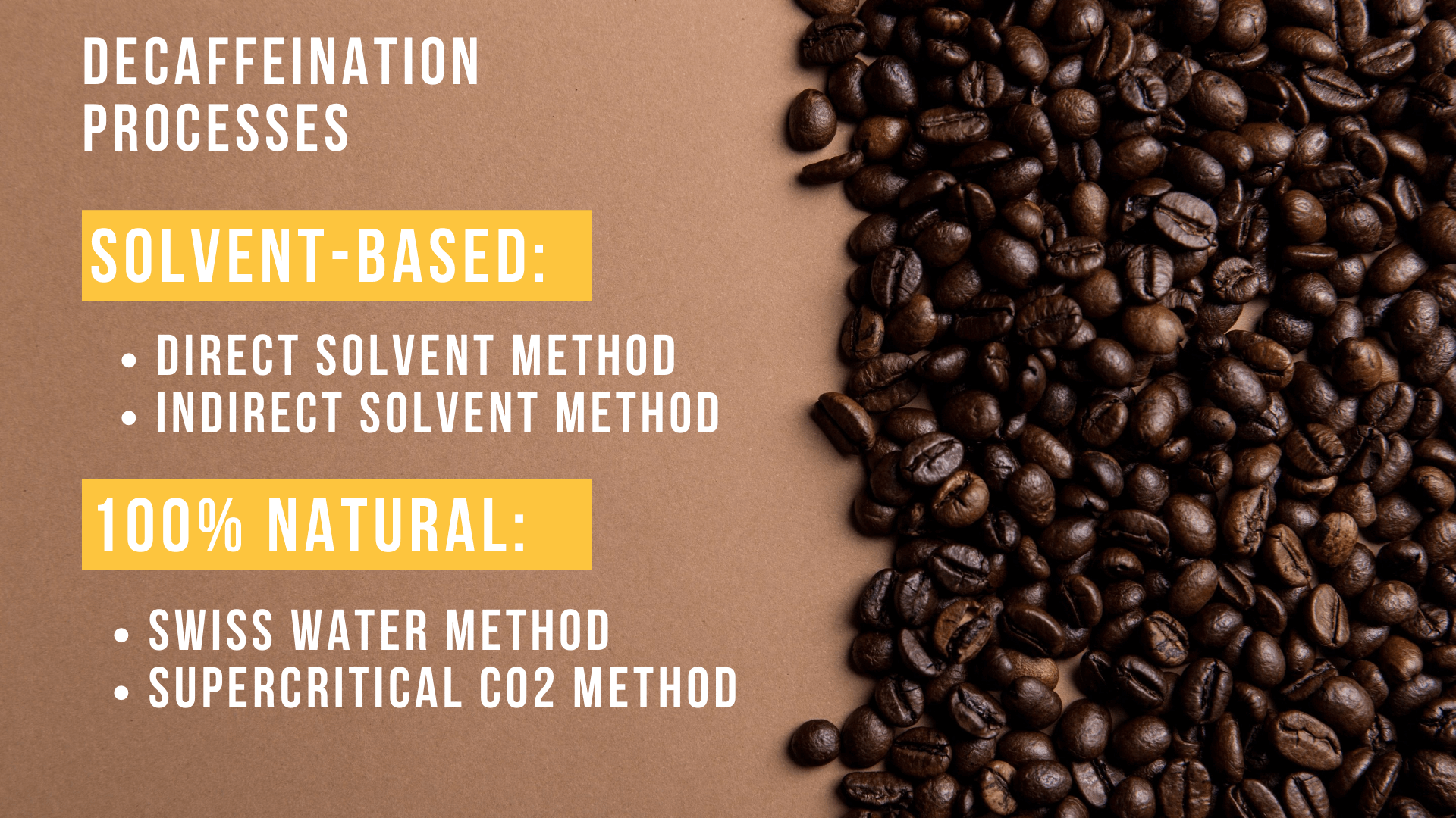 decaffeination processes Direct solvent indirect solvent swiss water and CO2 method