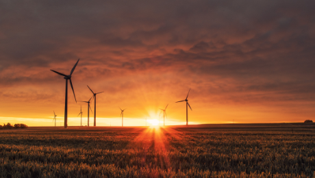 sustainability tips for your house