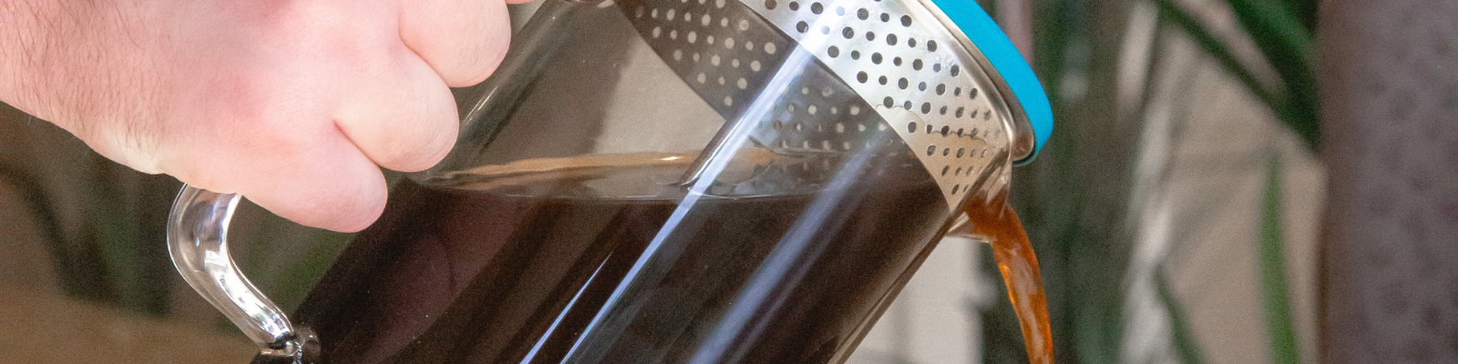 plastic free coffee press