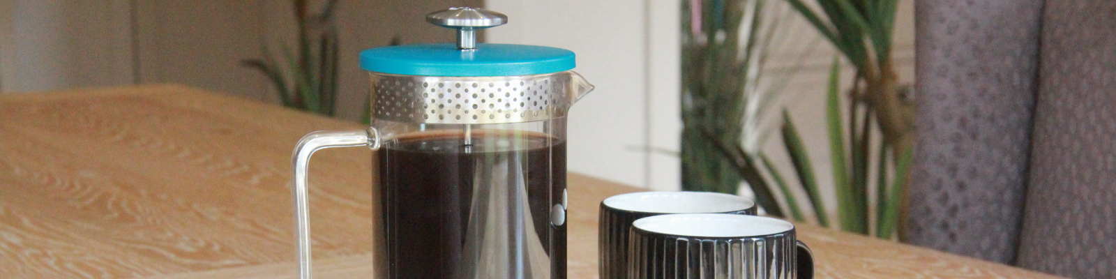 plastic free coffee press